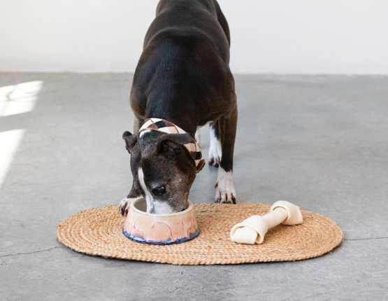 Stoneware Dog Bowl