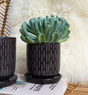 Garden &amp; Greenery