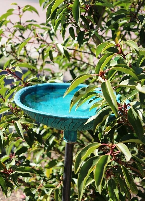 Vogeltränke aus Keramik türkis