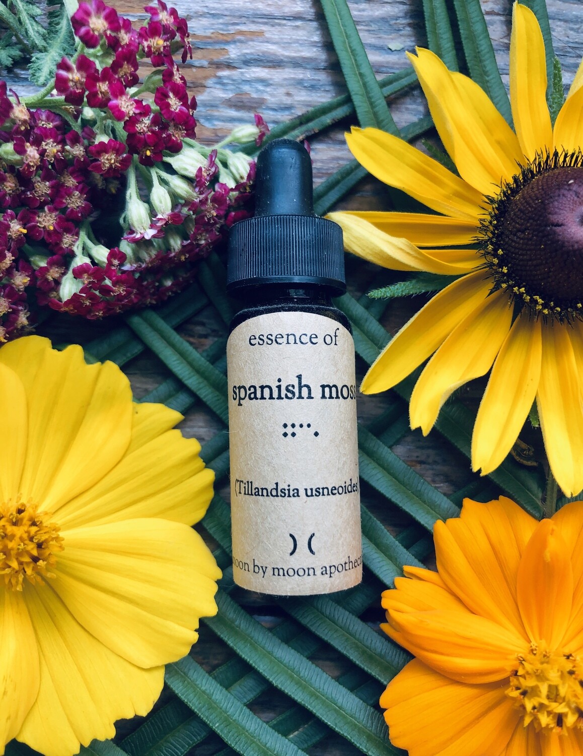"Spanish Moss" Flower Essence by Moon by Moon Apothecary