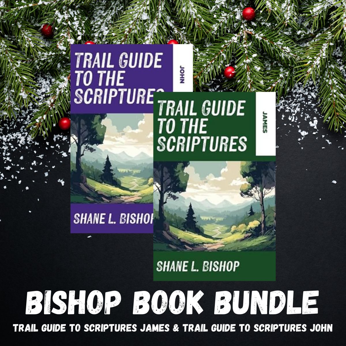 Bishop Bundle: John &amp; James