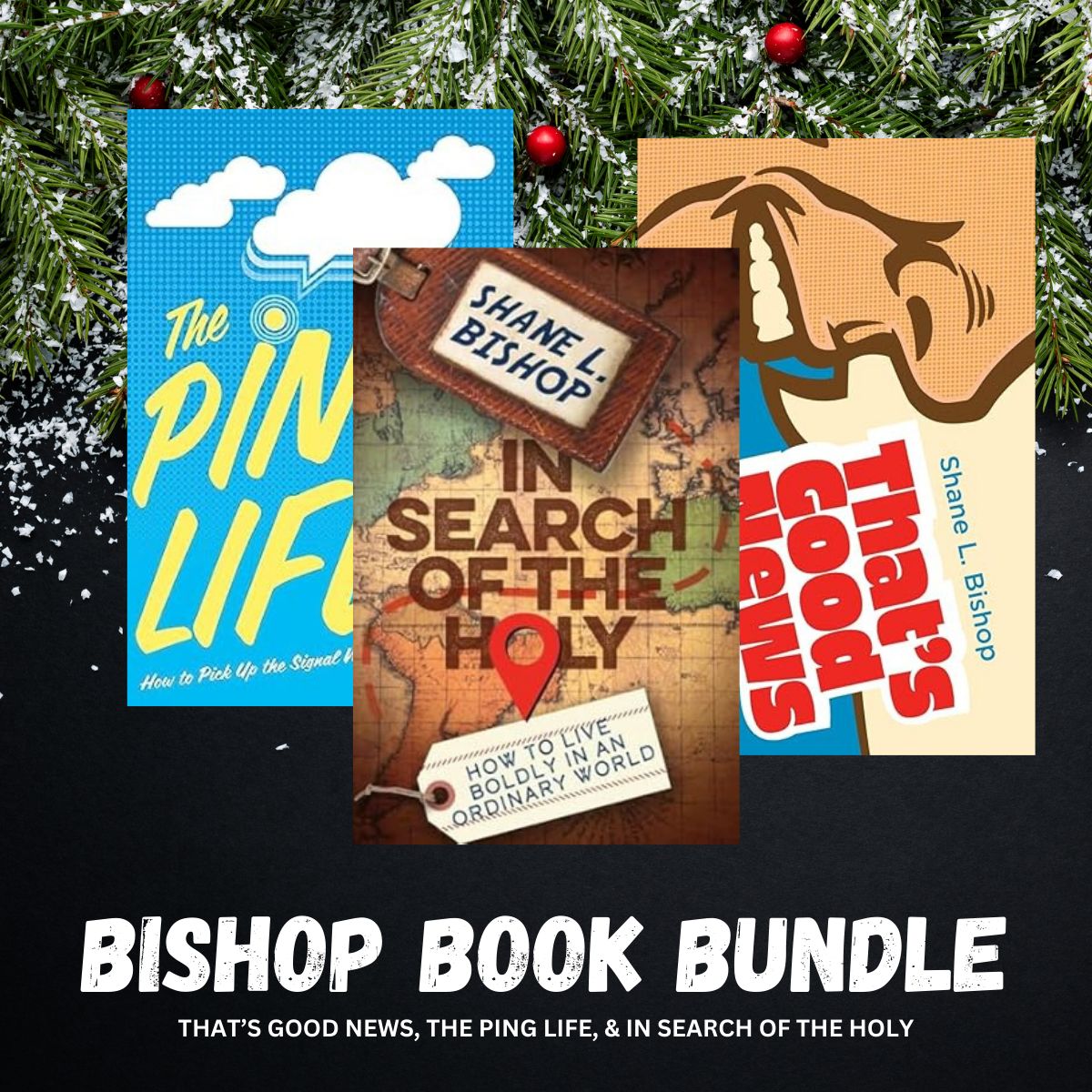 Bishop Bundle: The Ping Life, In Search of the Holy, &amp; That's Good News