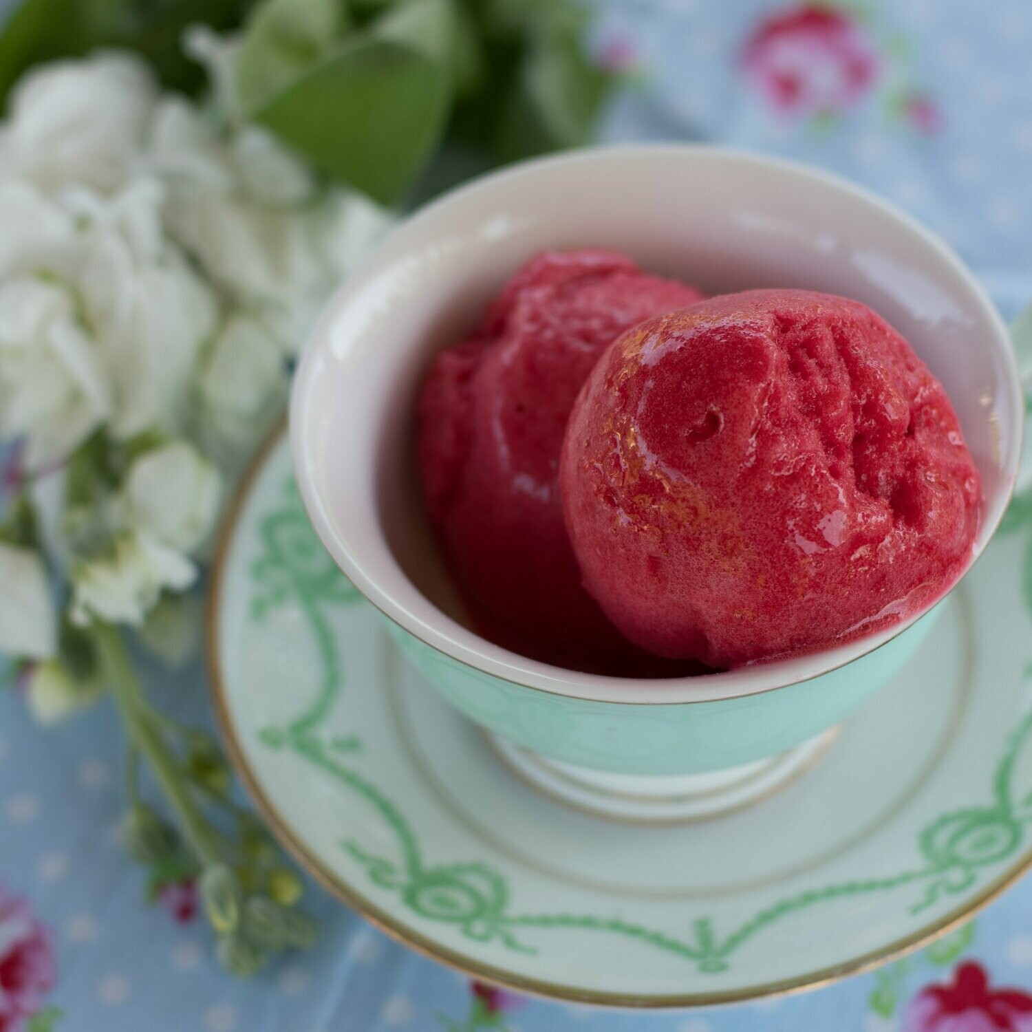 Raspberry Sorbet