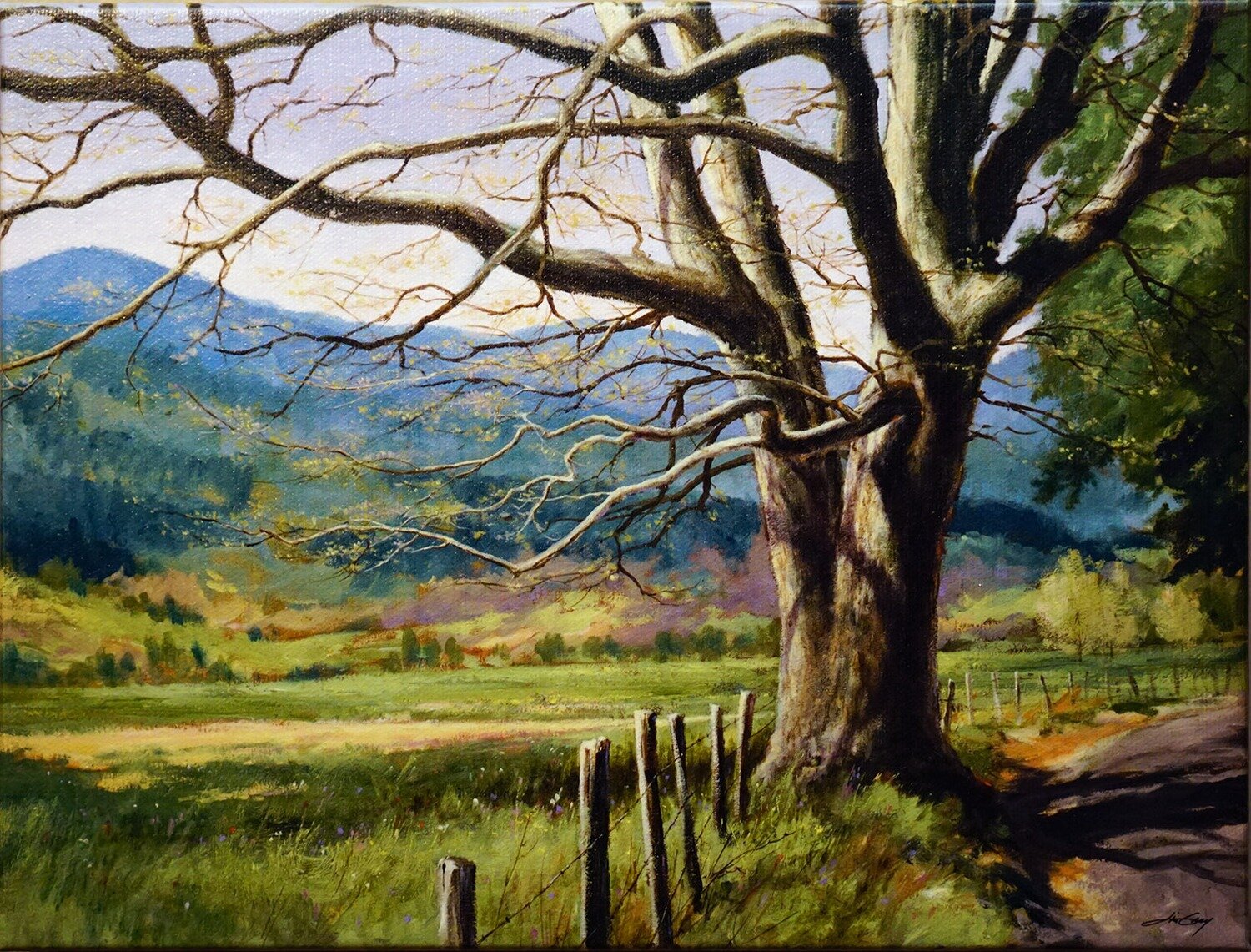 Cades Cove Morning , Open , Canvas , Gallery , Black , 12 X 9