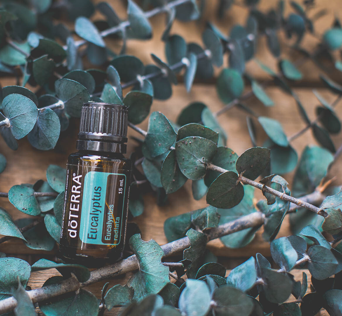 Eucalyptus Essential Oil 15ml