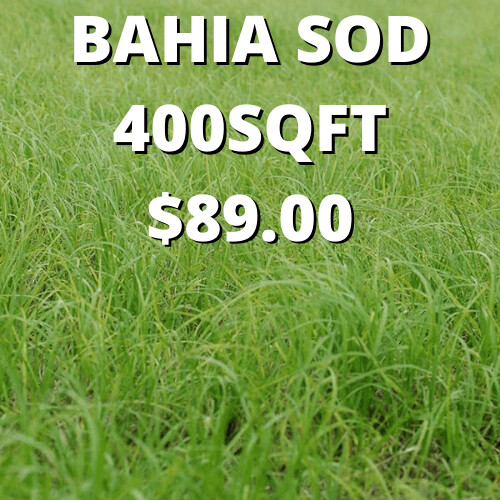 Argentine Bahia 400sqft (PALLET INCLUDED)