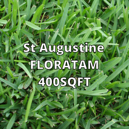 St Augustine Floratam 400sqft (PALLET INCLUDED)