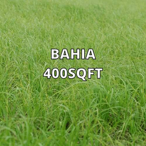 Argentine Bahia 400sqft