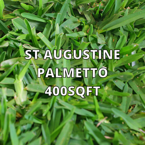 St Augustine Palmetto 400sqft (Shade)