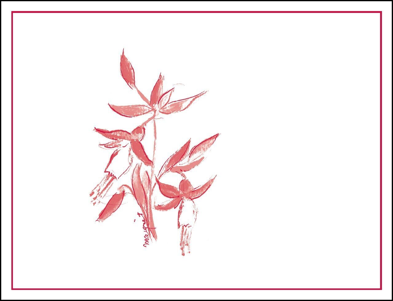 Arnot Roberts 2020 Manchester Ridge Vineyard Pinot Noir