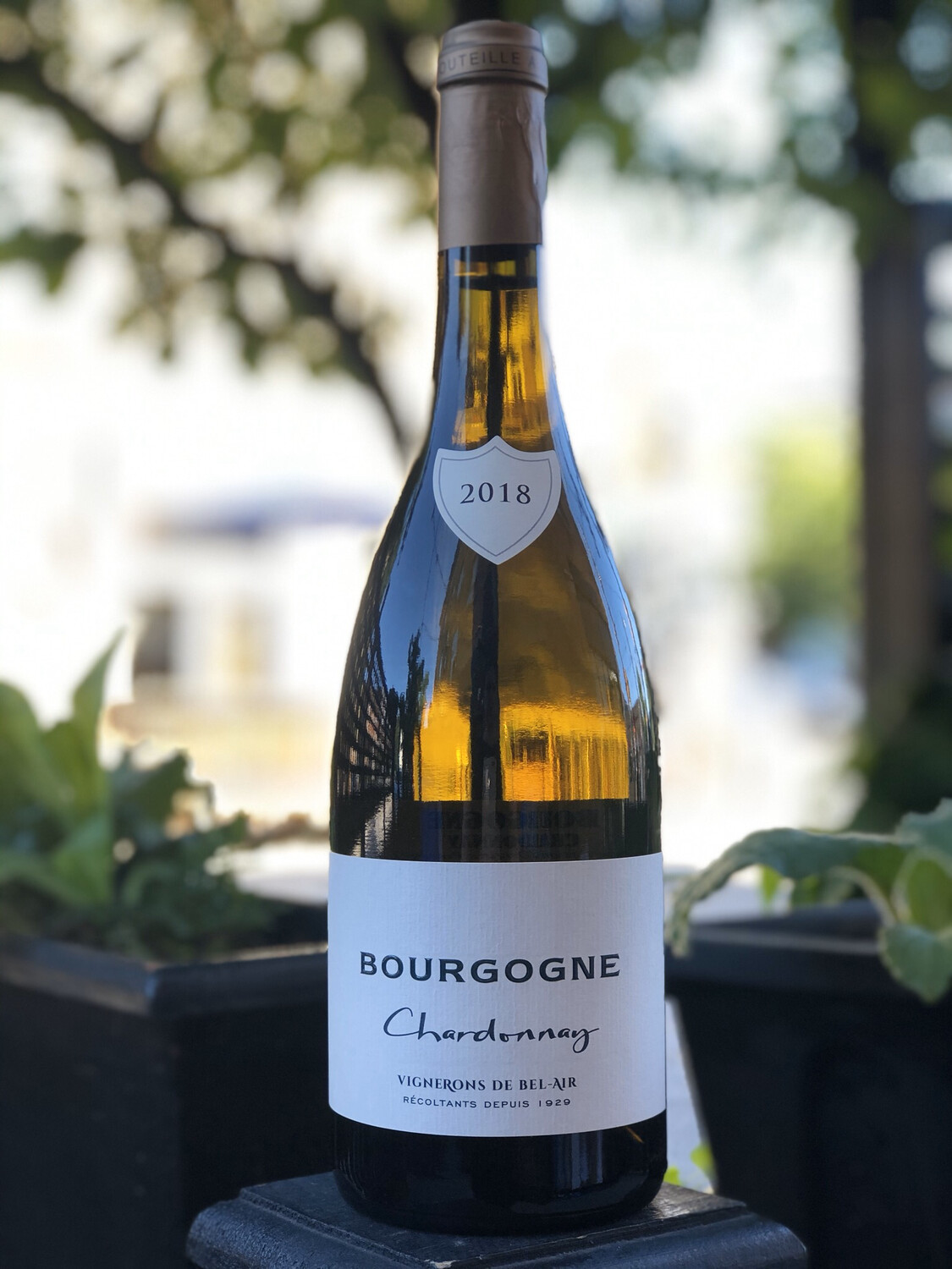 2018 Bourgogne Chardonnay, Vignerons de BelAir