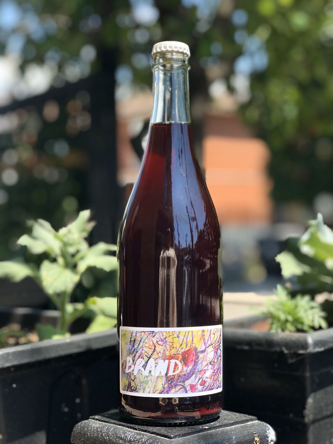 2019 Brand Nouveau, Weingut Brand