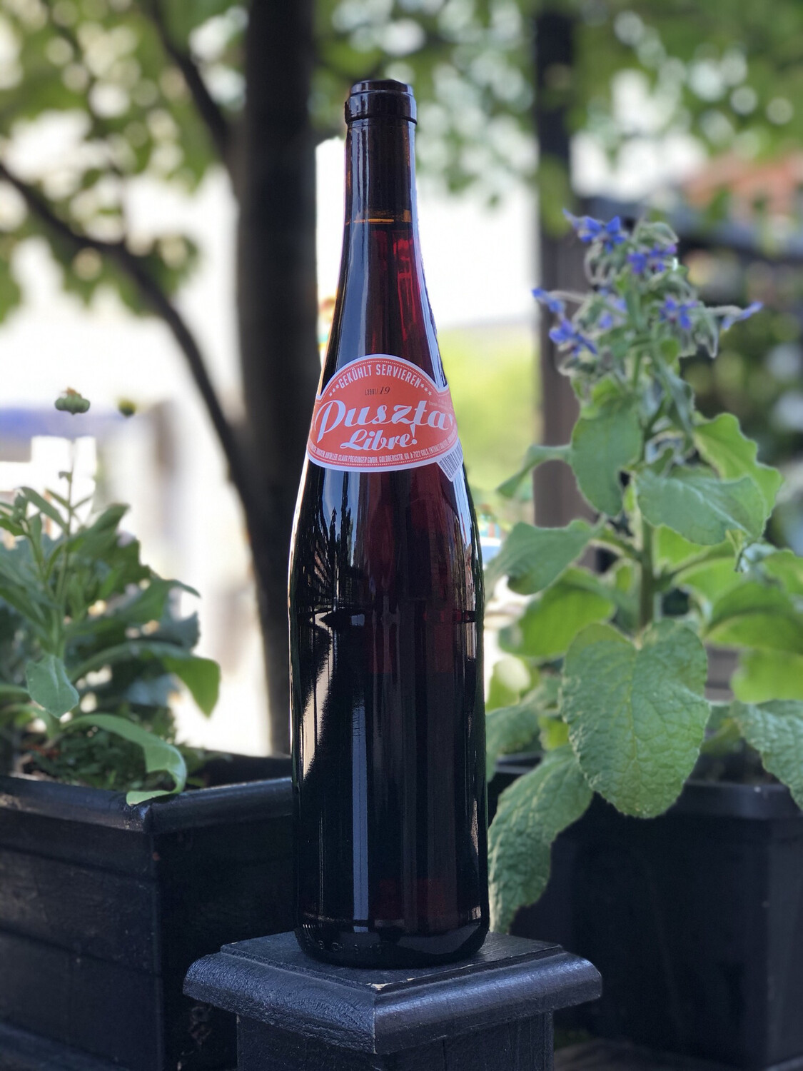 2019 Puszta Libre, Claus Preisinger