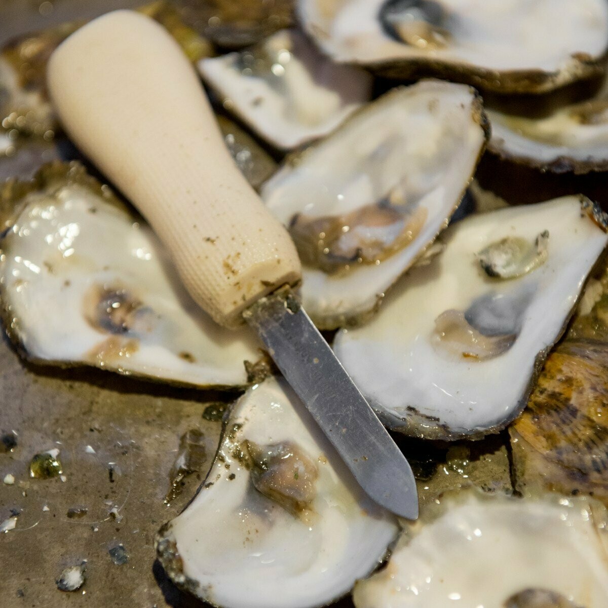 Oyster Shucker
