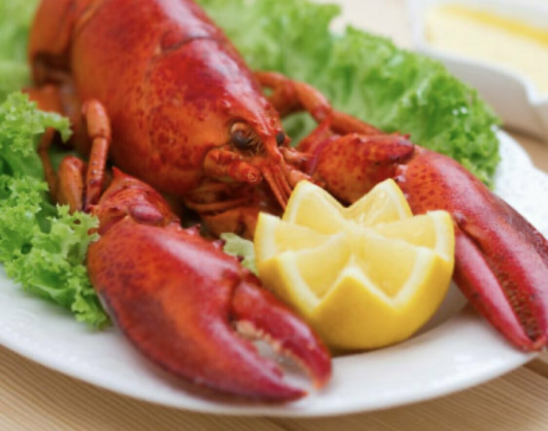 Whole Steamed 1.5 lb Nova Scotia Lobster