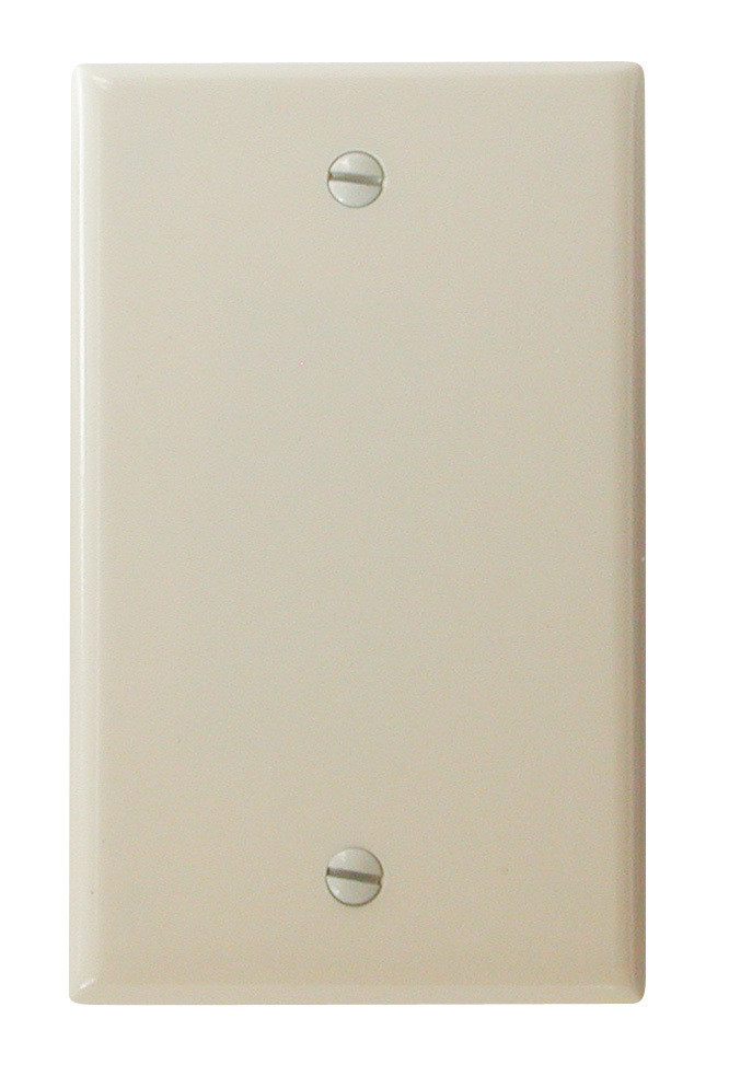 Blank Wall Plate Ivory