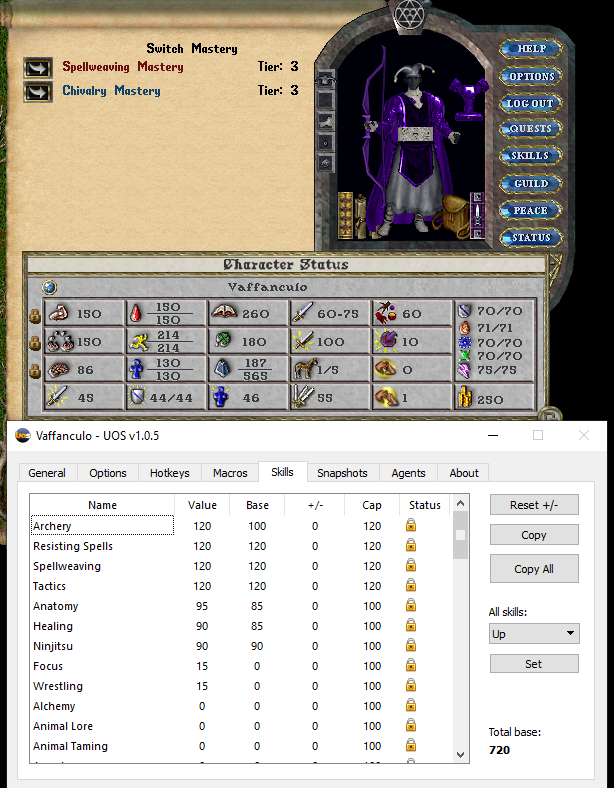 214 Stamina PVP Archer Weaver Complete Suit + 35 Bonus Skills