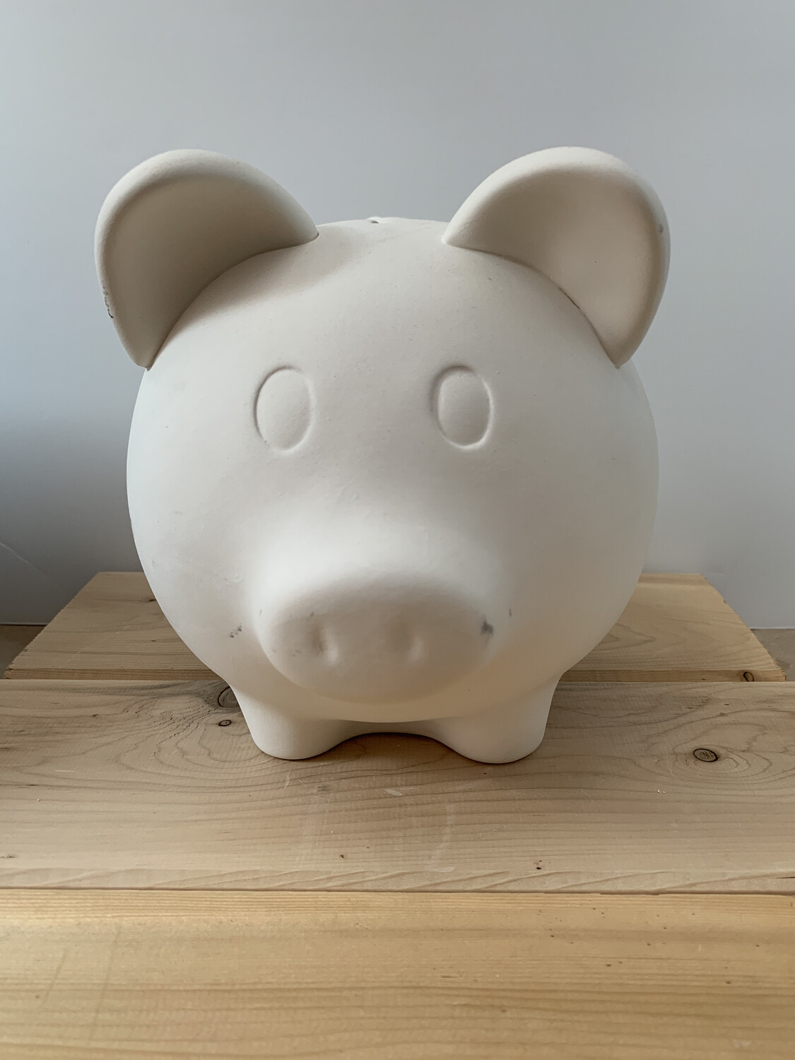 Paint Your Own Pottery Ceramic Piggy Bank