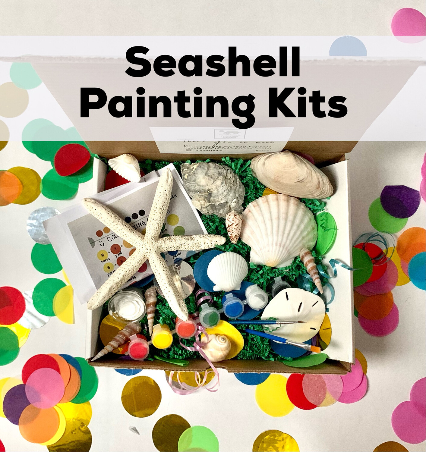 Seashell Painting Kit 10 Unpainted Shells