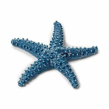 Étoile de Mer en Résine & Lapis Lazuli main image 0