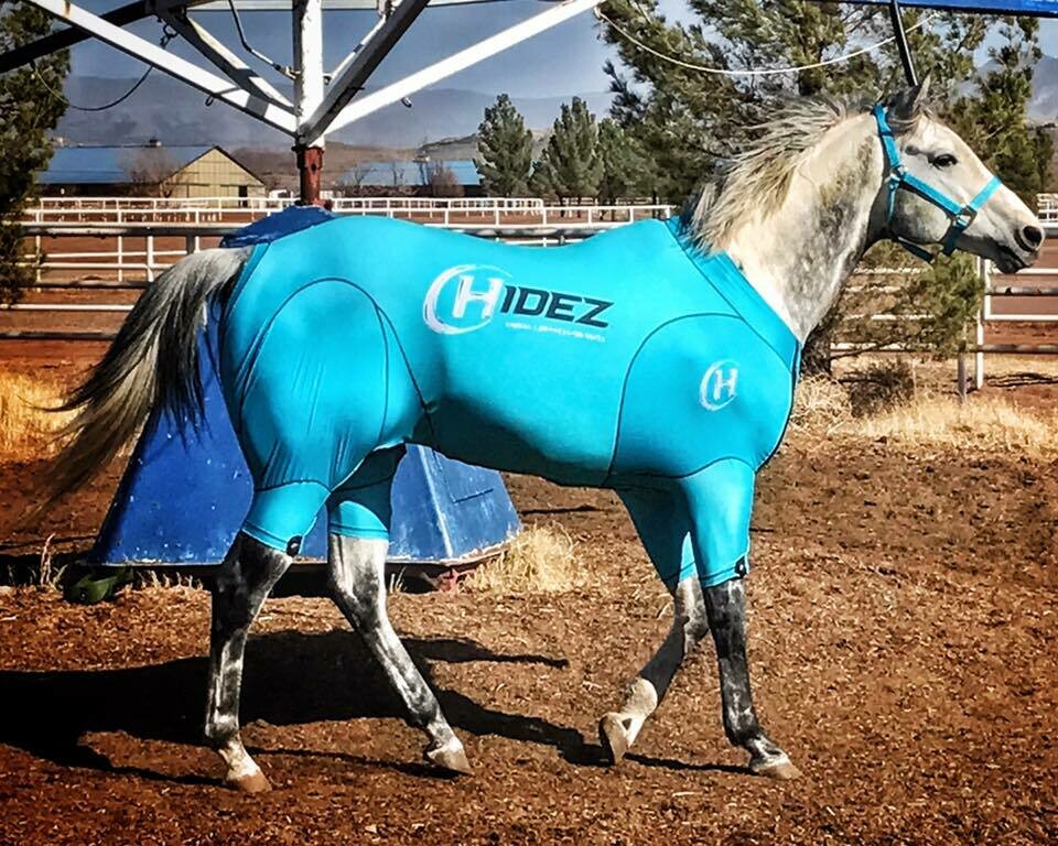 Hidez Active Compression Suit