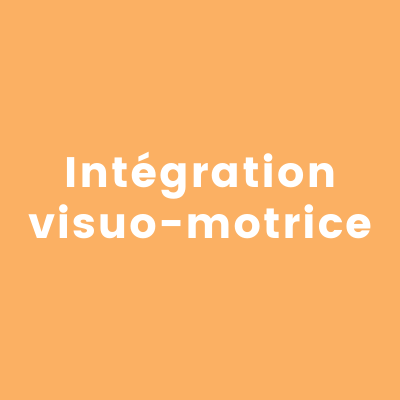 Intégration visuomotrice