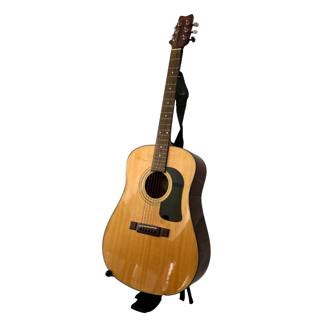 Washburn Acoustic Guitar Model D10