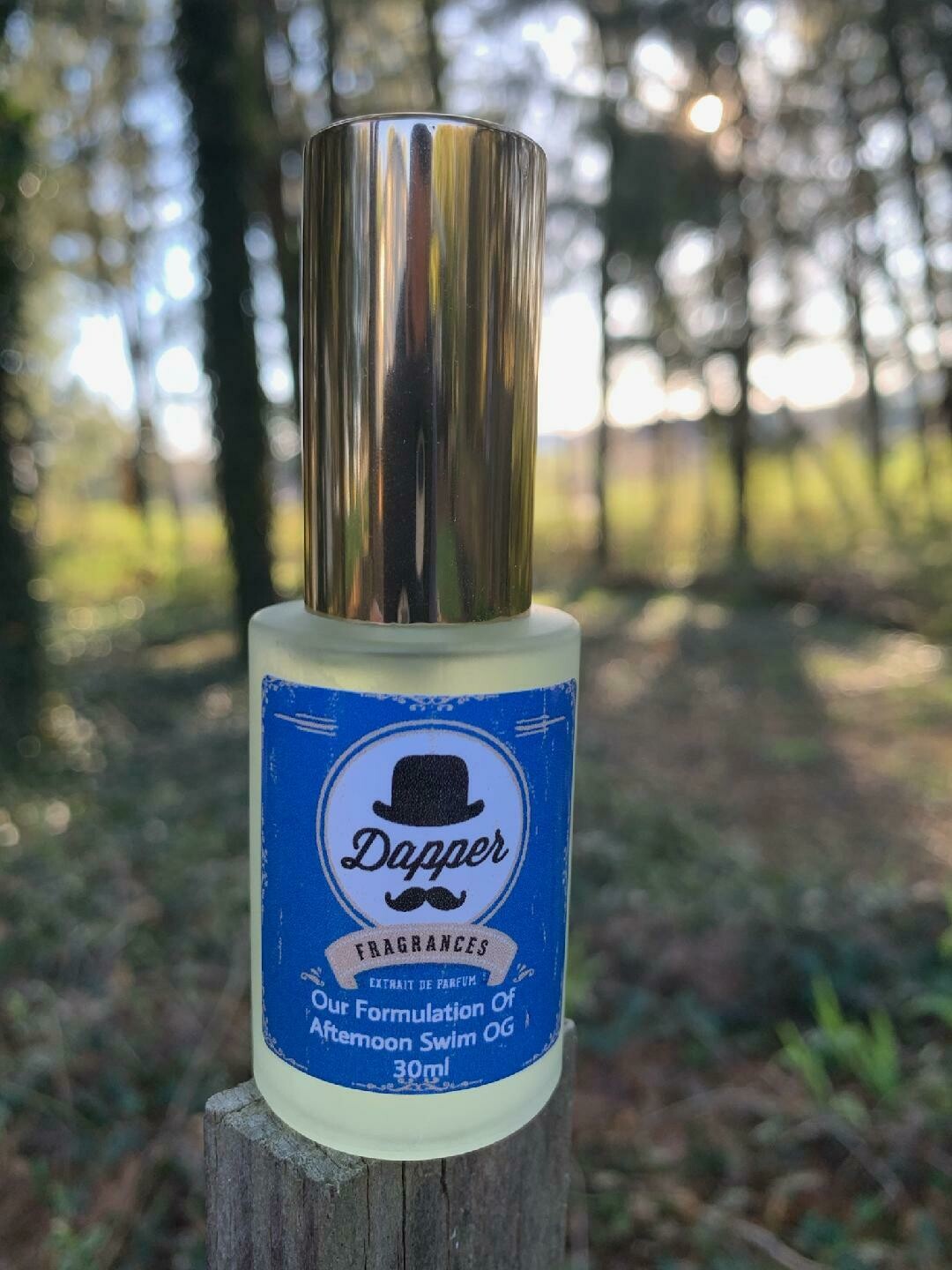 Louis Vuitton Men's Cologne Afternoon Swimwear