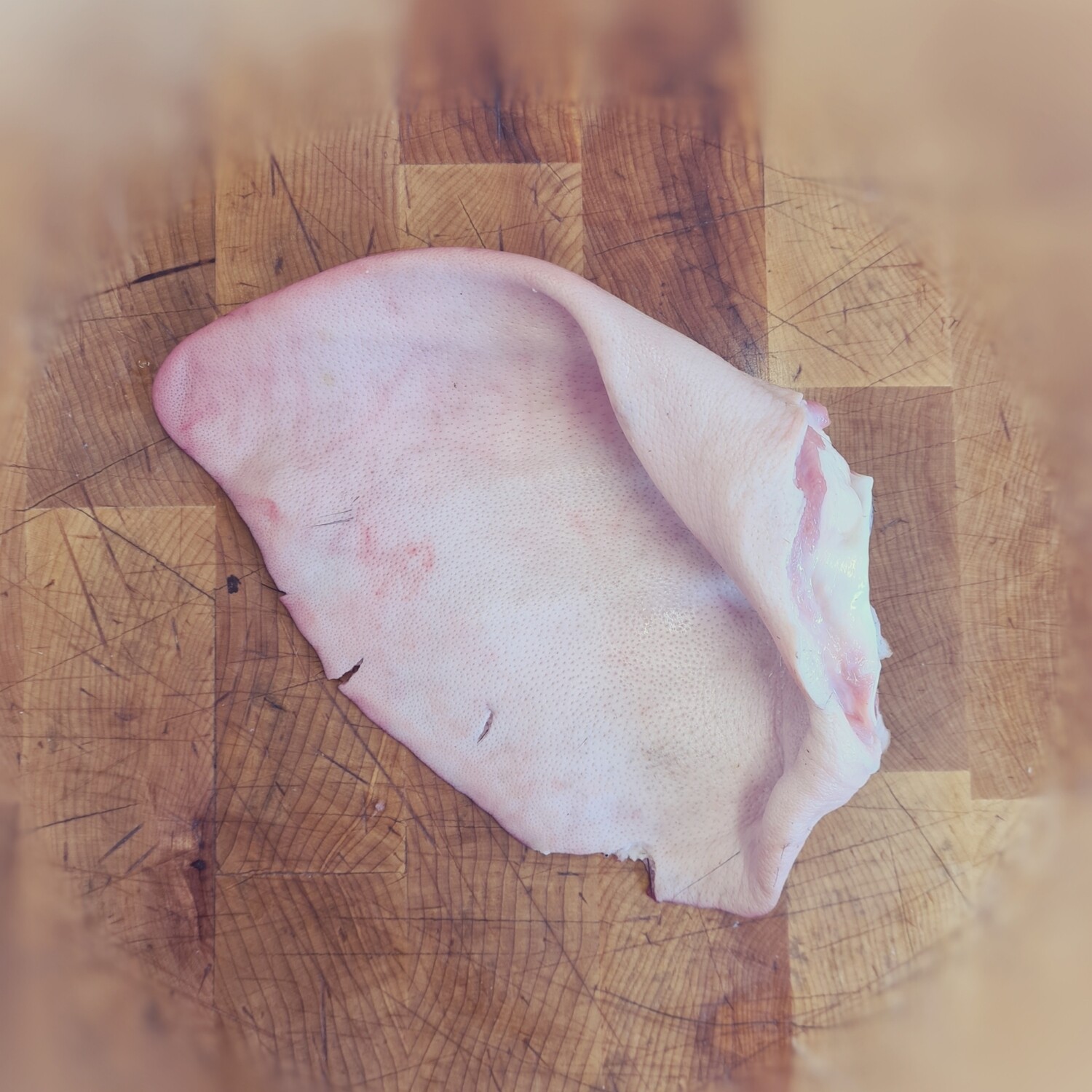 Pigs Ear