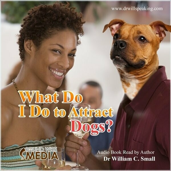 What Do I Do to Attract Dogs?
