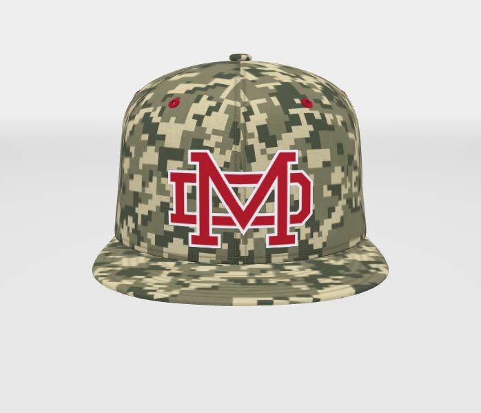 Nike Team True Camo Hat