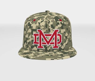 Nike Team True Camo Hat