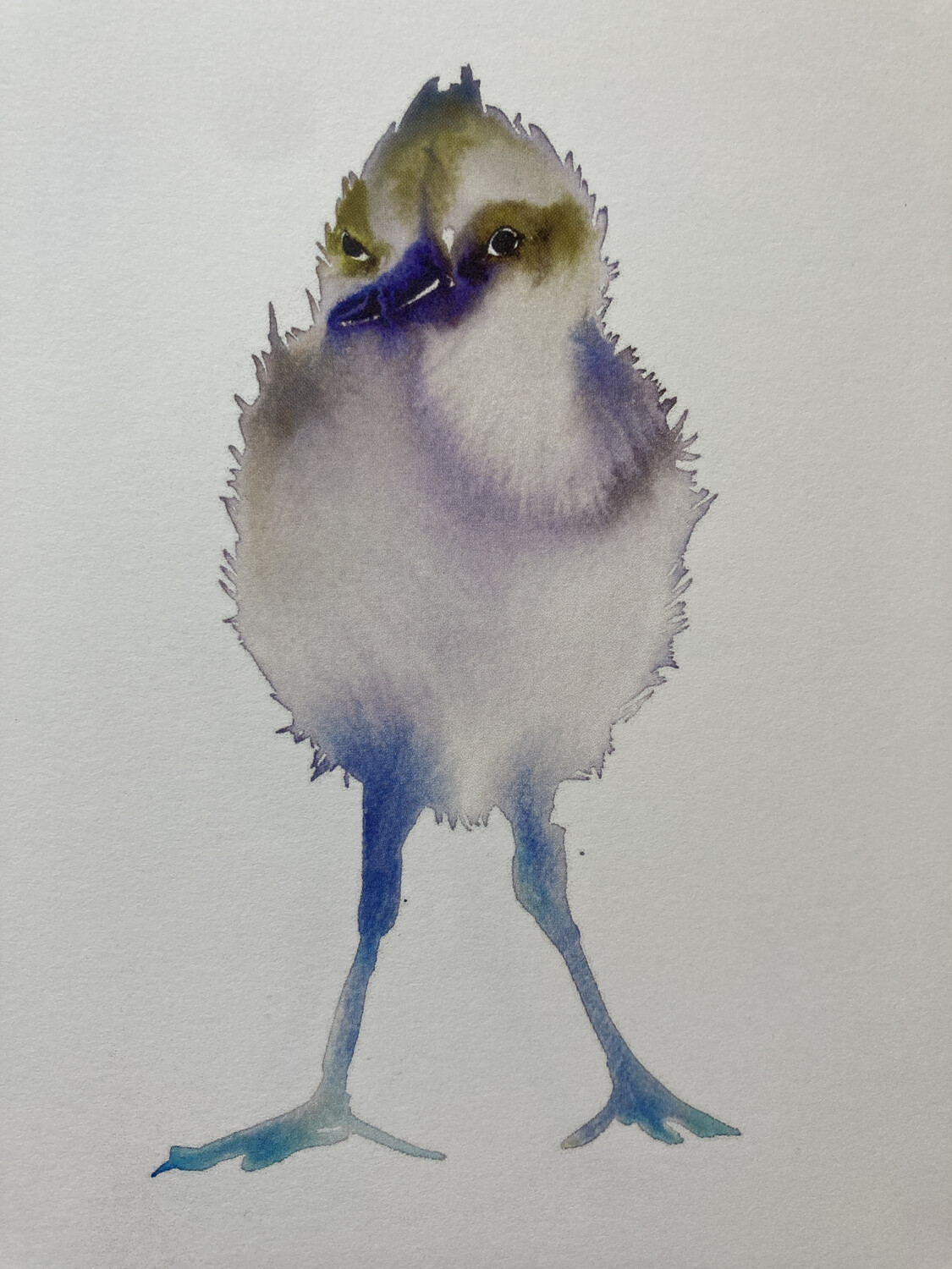 Postcards (12) in Wallet