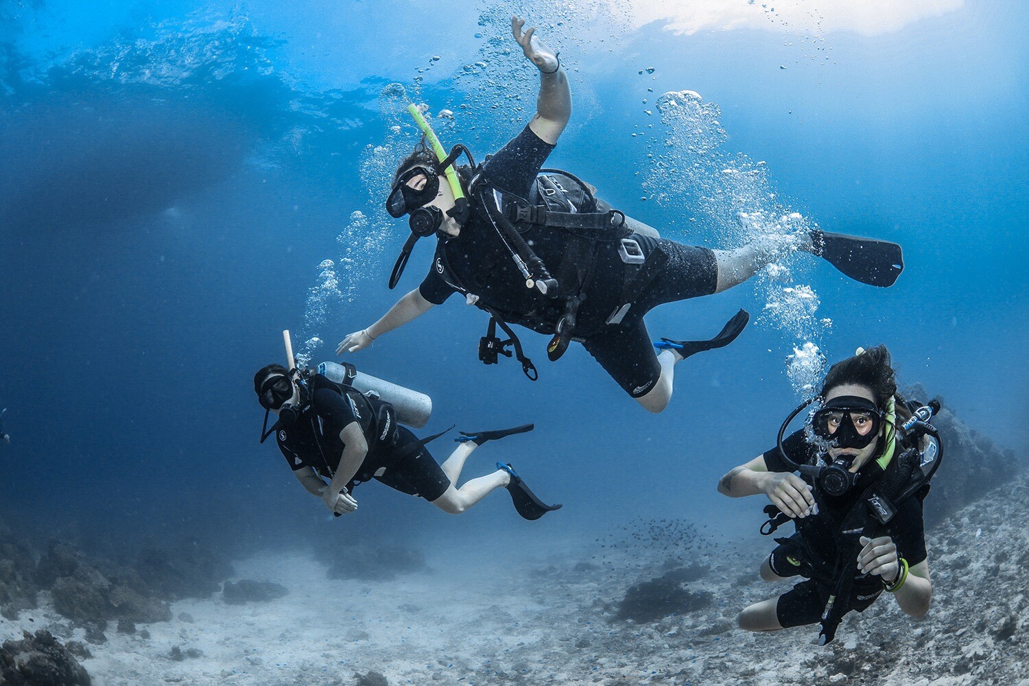 SCUBA DIVING TOUR, DUBAI 300 AED