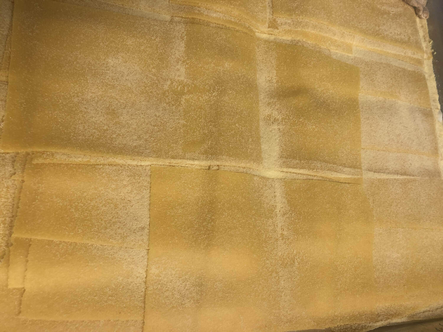 Fresh Lasagna Pasta Sheets (6 Large. 12"x8")