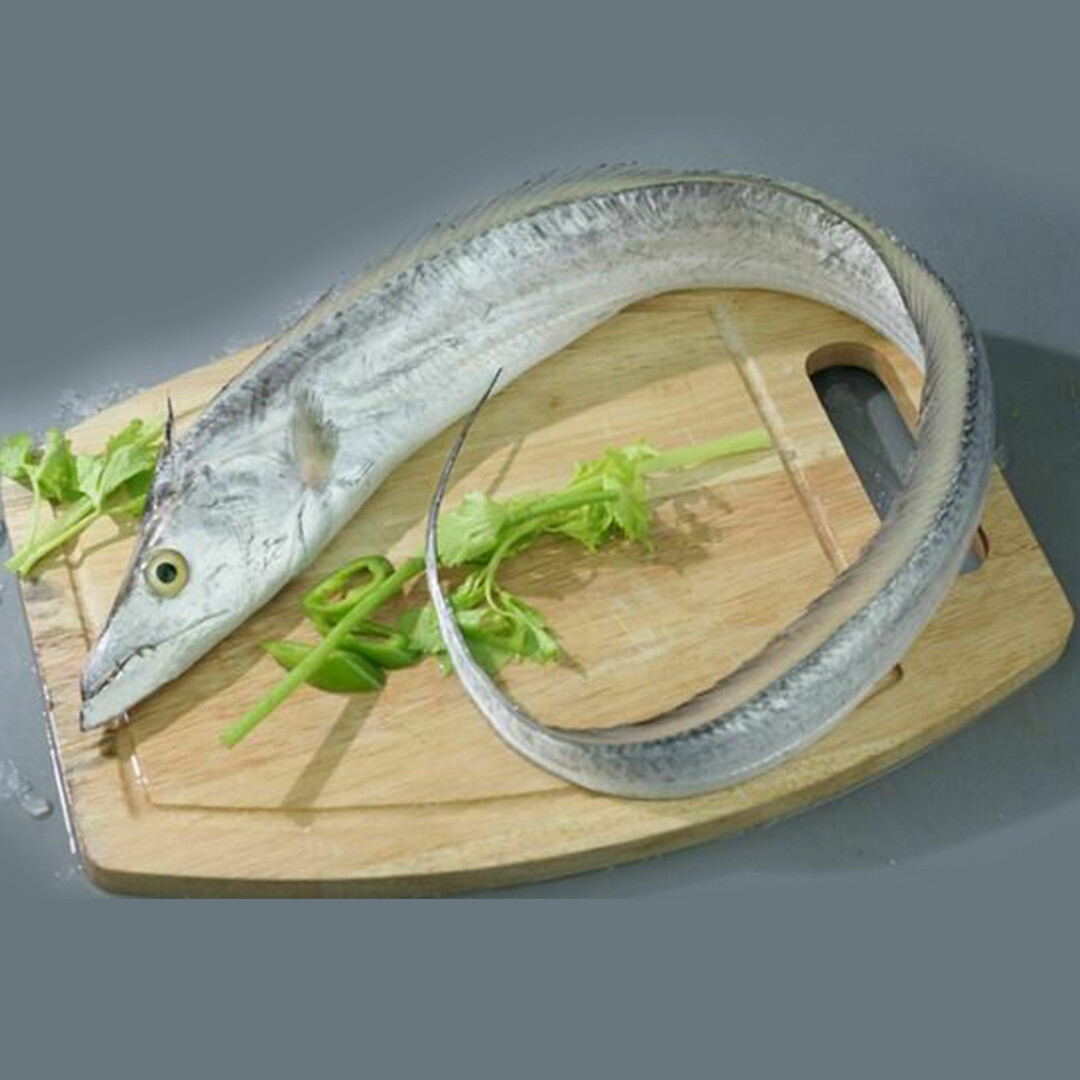 BELT FISH / THALAYAN/(Per kg)