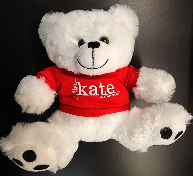 White Bear - Medium 9" Plush White Bear with red Kate shirt.