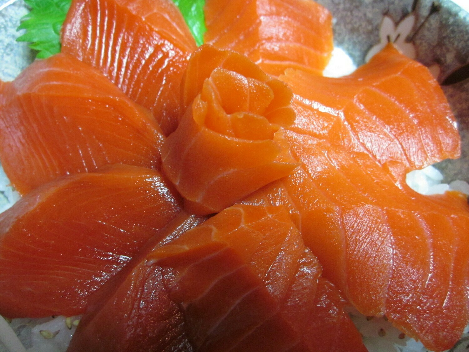Sockeye Salmon Don