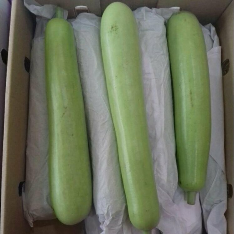 Dudhi Bottle Gourd Lauki MEDIUM Approx 500700g