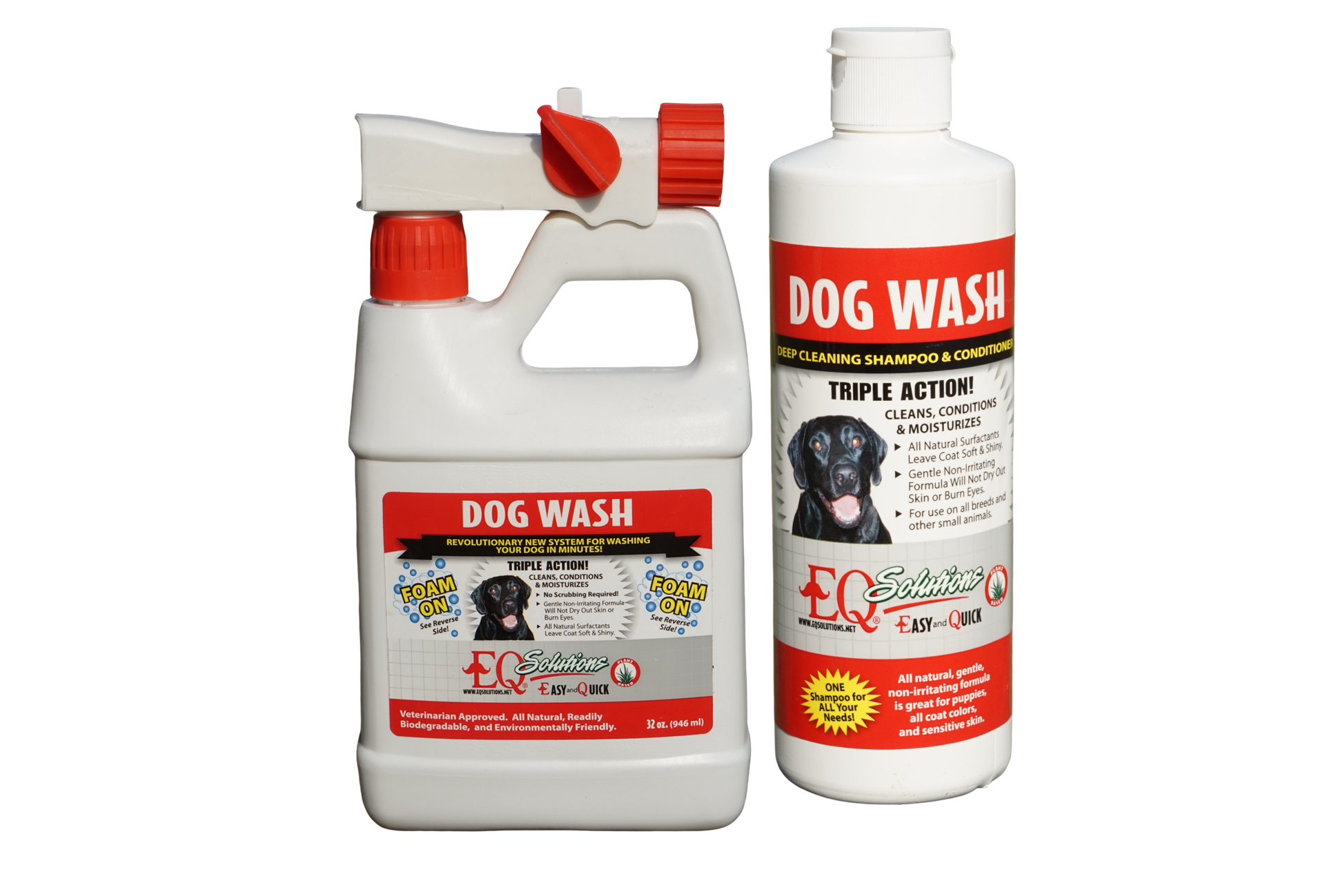 Dog Wash