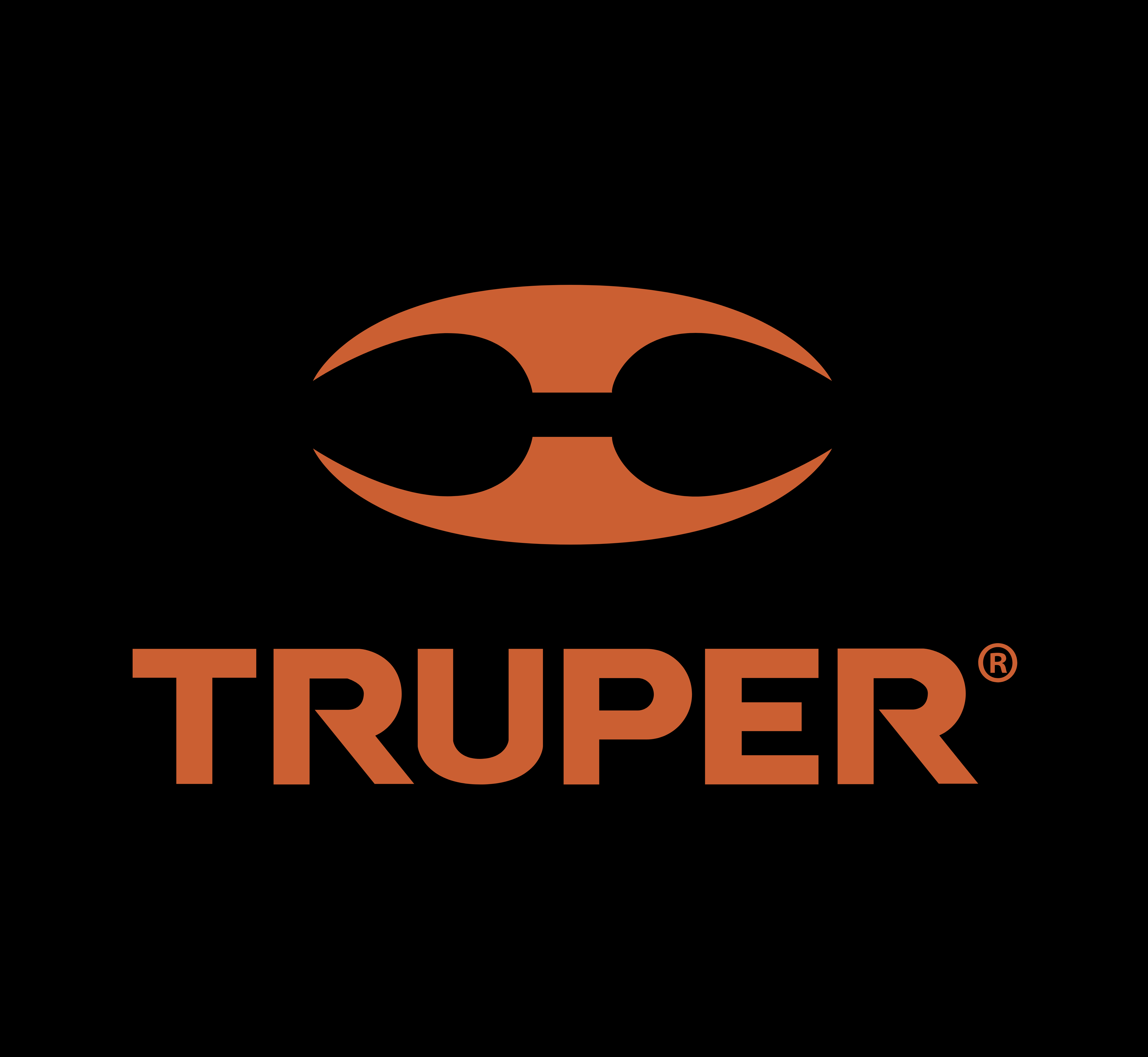 100291 truper