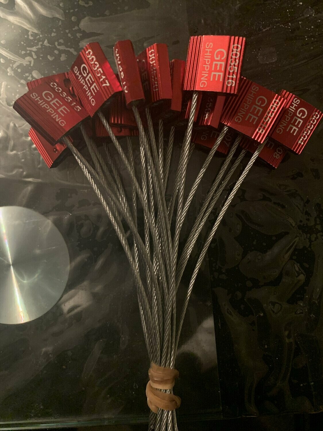 20 x High Security Wire Seal Lock