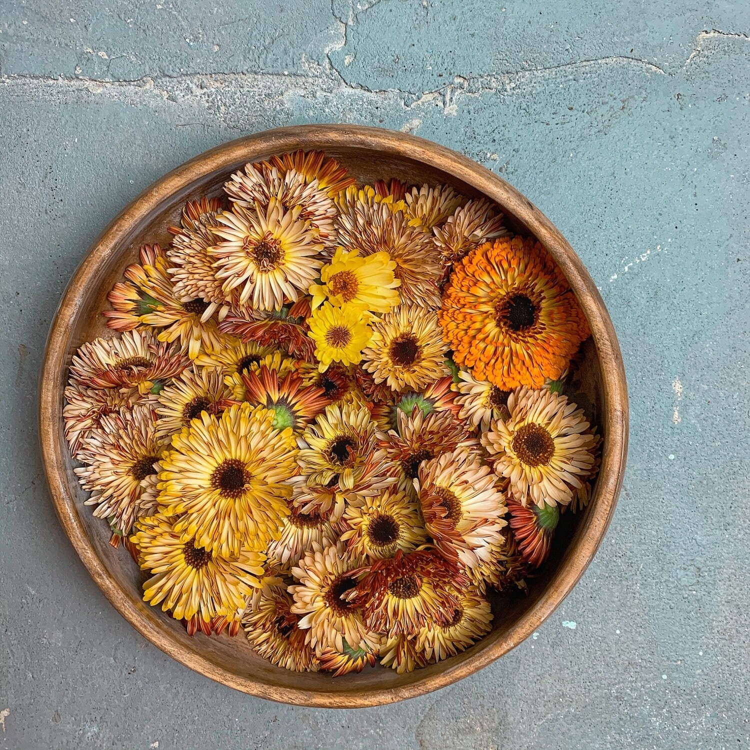 Calendula Seeds Store
