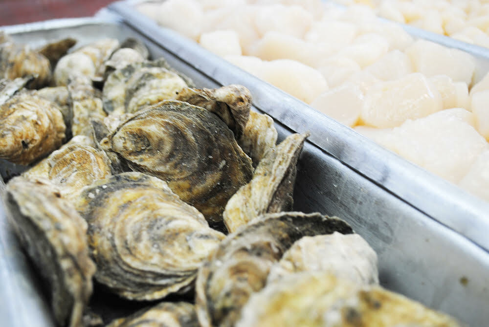 Clams/Mussels/Oysters/Scallops