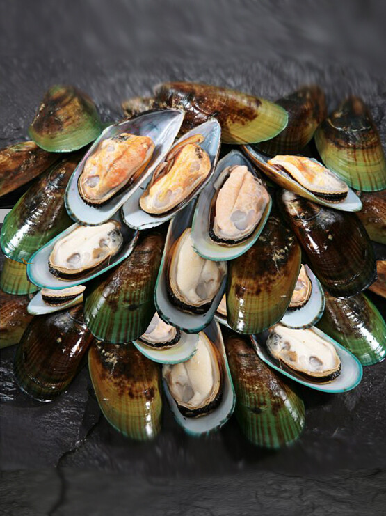 405 Mussel Green (2lbs)