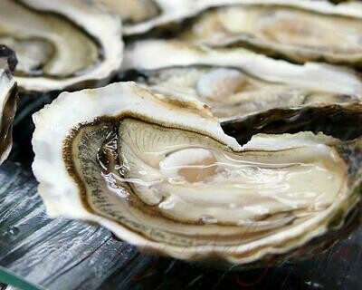 410 Oyster Frozen (1doz)