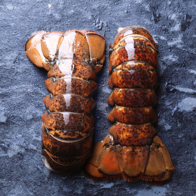 400 Lobster 8 oz (2pcs)