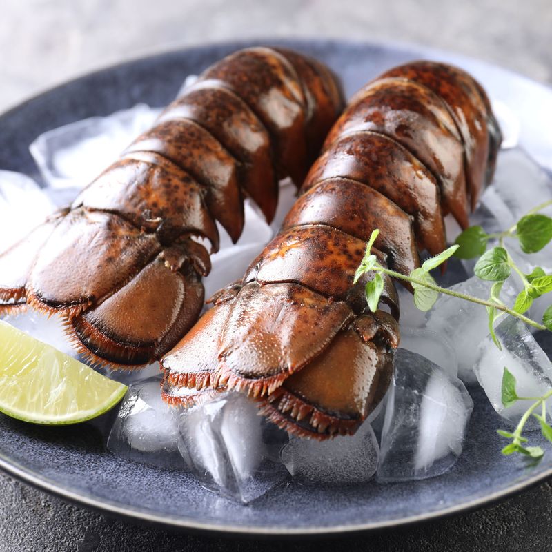400 Lobster 8 oz (2pcs)