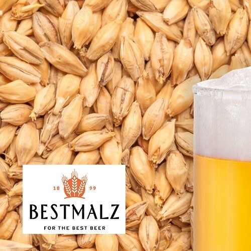 Best Caramel Pils Malt