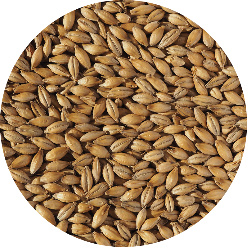 Crisp Pale Ale Malt 1kg
